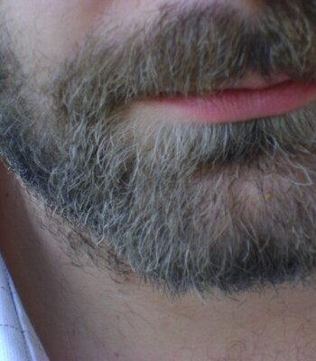 Profile picture of Roberto
